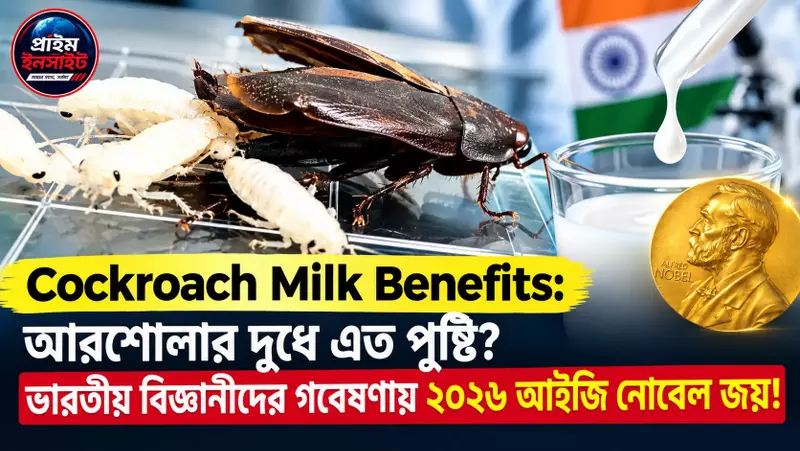 Cockroach Milk Benefits: আরশোলার দুধে এত পুষ্টি? ভারতীয় বিজ্ঞানীদের গবেষণায় ২০২৬ আইজি নোবেল জয়! 1 Cockroach Milk Benefits