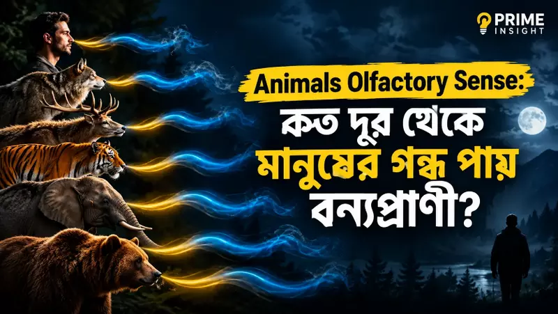 Animals Olfactory Sense: কত দূর থেকে মানুষের গন্ধ পায় বন্যপ্রাণী? 1 Animals Olfactory Sense